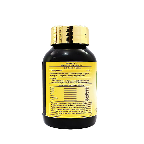 Cordyceps Capsules 500mg | 60 Capsules