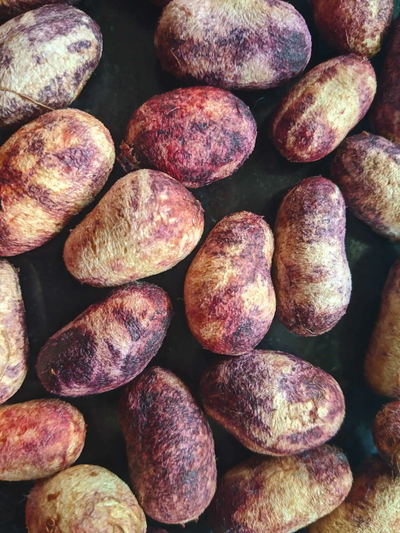 Jamun seed